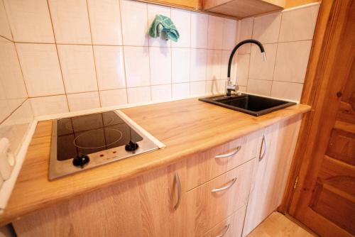 One-Bedroom Apartment image 5