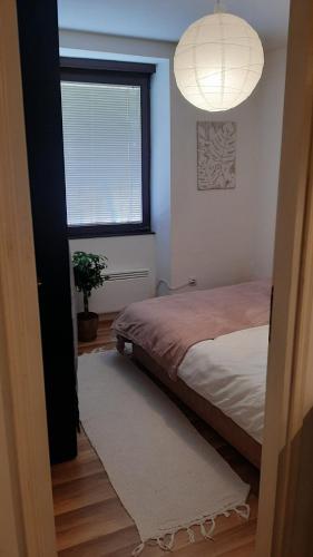 One-Bedroom Apartment image 9