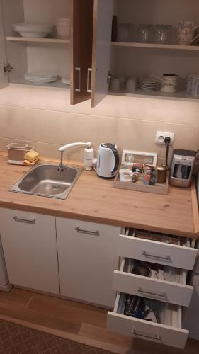 One-Bedroom Apartment image 8