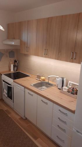 One-Bedroom Apartment image 7