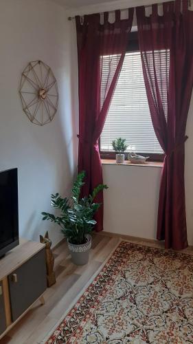 One-Bedroom Apartment image 3