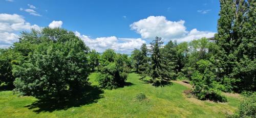 tuin, Aranypart Hotel Siofok in Siofok