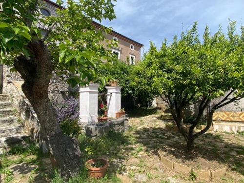 La Zizzania e il Mandarino in Roccagloriosa