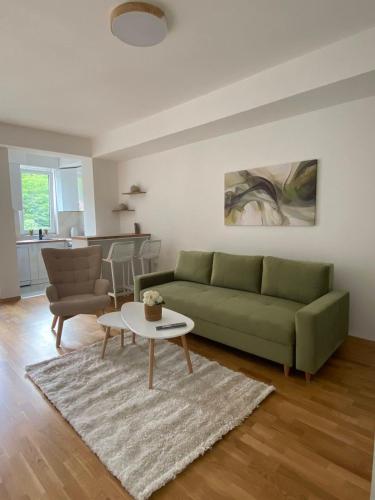 Luxury Apartment IVA III, Skopje (photo 9)