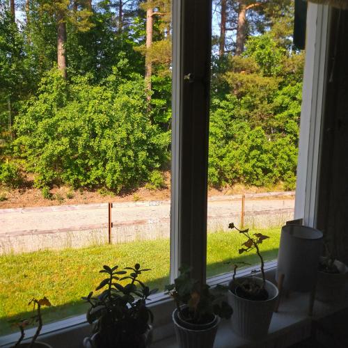 Sölebo Bodar (Solebo Bodar) in 博拉斯市中心