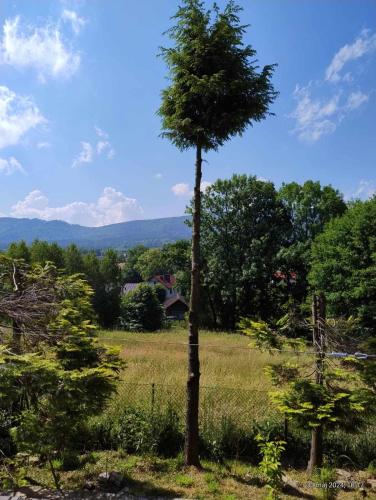 U Roba Kardynala karola Wojtyly 130 U Roba Kardynala karola Wojtyly 130