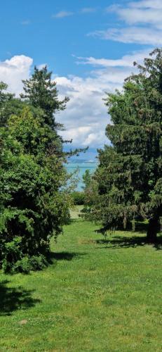 Aranypart Szálló-Közösségi Szálláshely (Aranypart Szallo-Kozossegi Szallashely) in Siofok