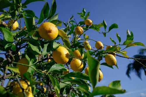 Le Monachelle Luxury - image 14