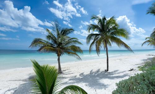Hotel Poc Na Tulum_0_image