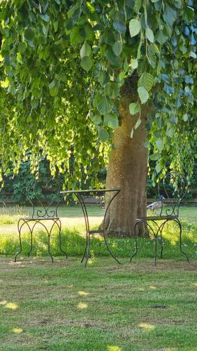 Omgivningar, Fehmarn Studio Apartment mit Meerblick und Garten in Strukkamphuk
