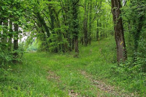 Maison à la campagne idéale famille et amis (Maison a la campagne ideale famille et amis) in Montayral