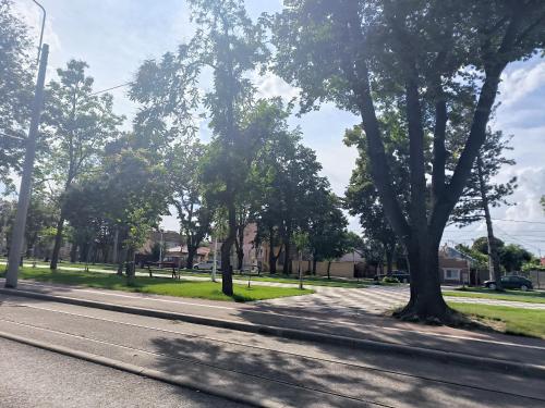 สภาพแวดล้อมโดยรอบ, Bulevard Residence in บราอิลา