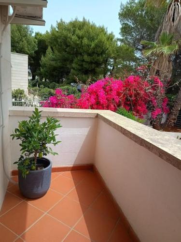Garden, La casa al mare in Costa Merlata