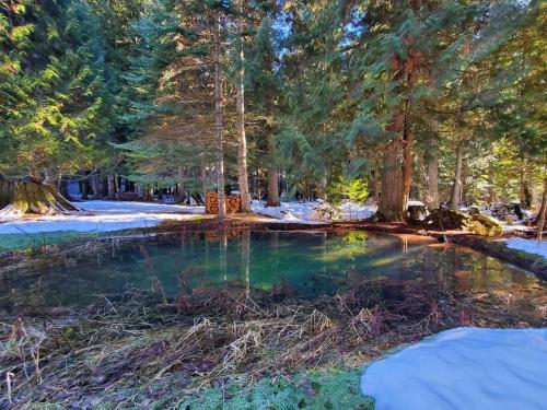 Apkārtne, Ahrs Creek Retreat In the Timber in St Maries (ID)