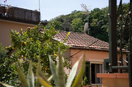  House in Pitelli - close to the 5 Terre, Gulf of Poets, Tuscany in Pitelli
