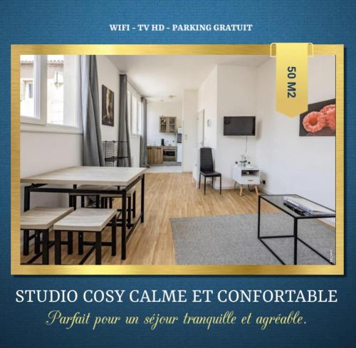 STUDIO COSY - HYPERCENTRE - CALME - 50M2 - Wi-FI - Location saisonnière - Graulhet