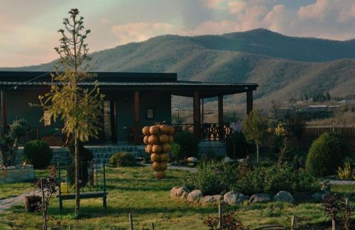 BB's Garden