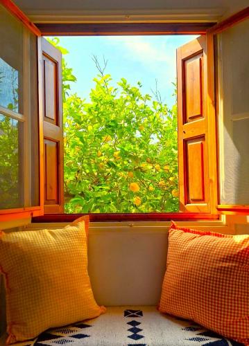 Gaia Estate gîte à louer Dhásos