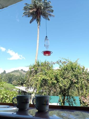 Combi CheapBest in ซาเลงโต