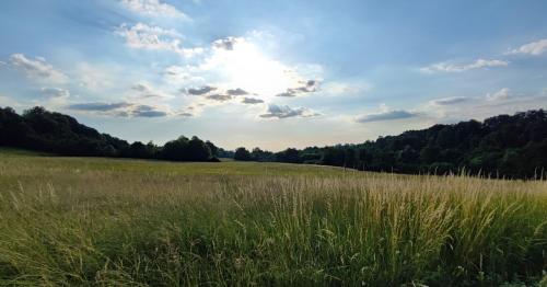 Casa Maia - image 13