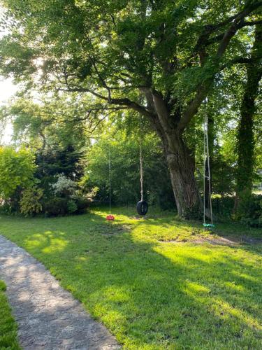 Pod Bukiem apartamenty i pokoje