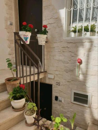 Le segrete gîte à louer Sannicandro di Bari