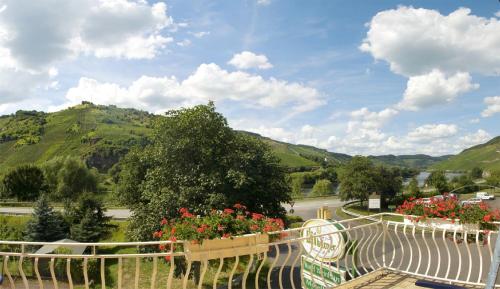 Skats, Hotel Weinhaus Moselblick in Burg (Mosel)