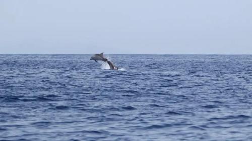 Casa Eliseos Playa in Punta Prima