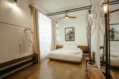 Hotel Sin Nombre - image 4