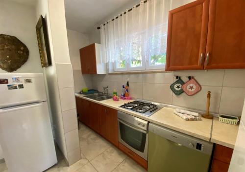 One-Bedroom Apartment with Terrace image 7