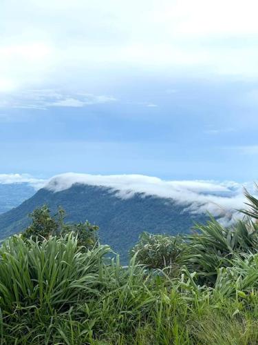 ต้นค้อ สวีทโฮม, Khao Kho (foto 8)
