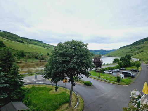 Skats, Hotel Weinhaus Moselblick in Burg (Mosel)