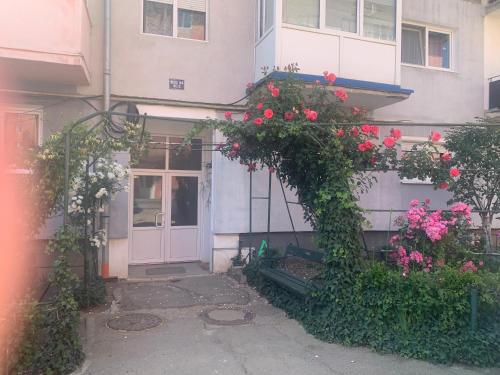 Cazare Medias, apartament modern in เมดาส