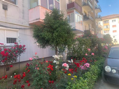 Cazare Medias, apartament modern in เมดาส