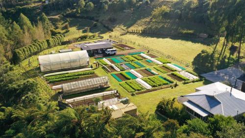 Roebuck Farm Stay in Omata