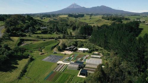 Roebuck Farm Stay in Omata