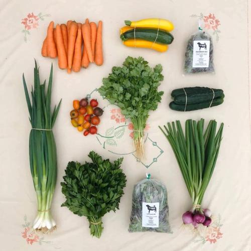 Roebuck Farm Stay in Omata