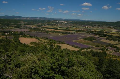 Le gite de lOlivier en Provence