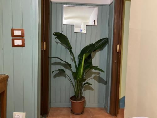 Pied at Terre, Terst (fotografie 2)