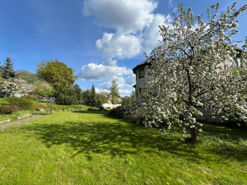 Jaama Villa Studio Flat Surrounded by Garden Jaama Villa Studio Flat Surrounded by Garden