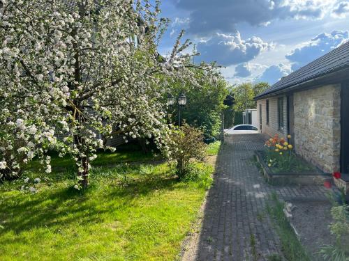 Jaama Villa Studio Flat Surrounded by Garden Jaama Villa Studio Flat Surrounded by Garden