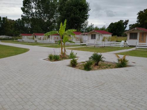 CirceMed Glamping, San Felice Circeo (Foto 9)