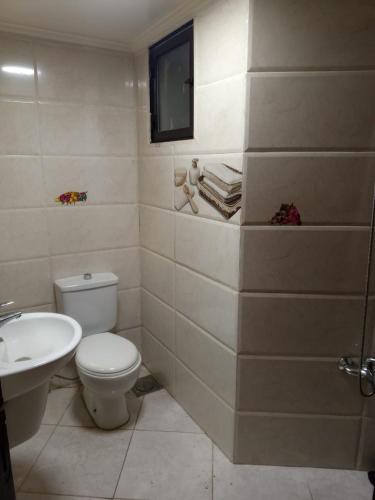 Bathroom, zehriyeh two bedroom apartment in Tripoli
