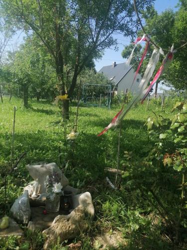 Garden, Pista Papa Tanyaja in Balatongyorok