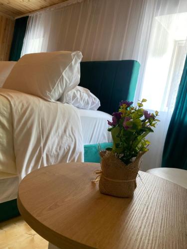 Guesthouse Bec Villi - main image