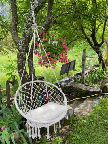 Guesthouse Bec Villi - image 4