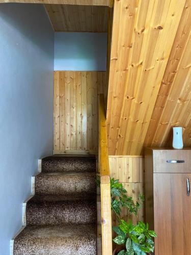 Guesthouse Bec Villi - image 11