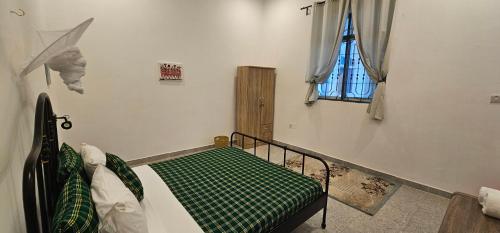 Dragonfly, Jambiani (fotografie 8)