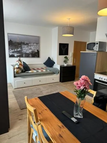 Apartment, 2P, WiFi, Küche, modern, ruhig, zentral in Chemnitz, Deutschland