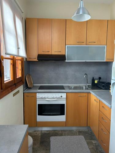 Kitchen, Παραλια Αβδηρων Αυλη BBQ & Ανεση in Avdhira